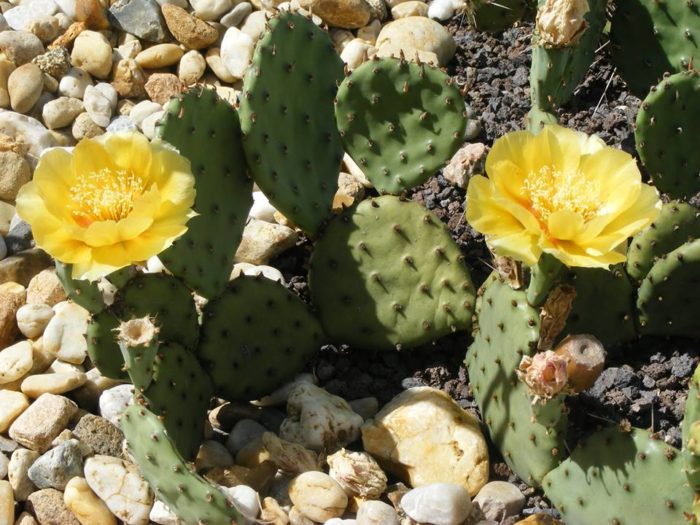 nochten1212
