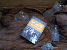 na saksy i do Bułgarii 2 (Copy)